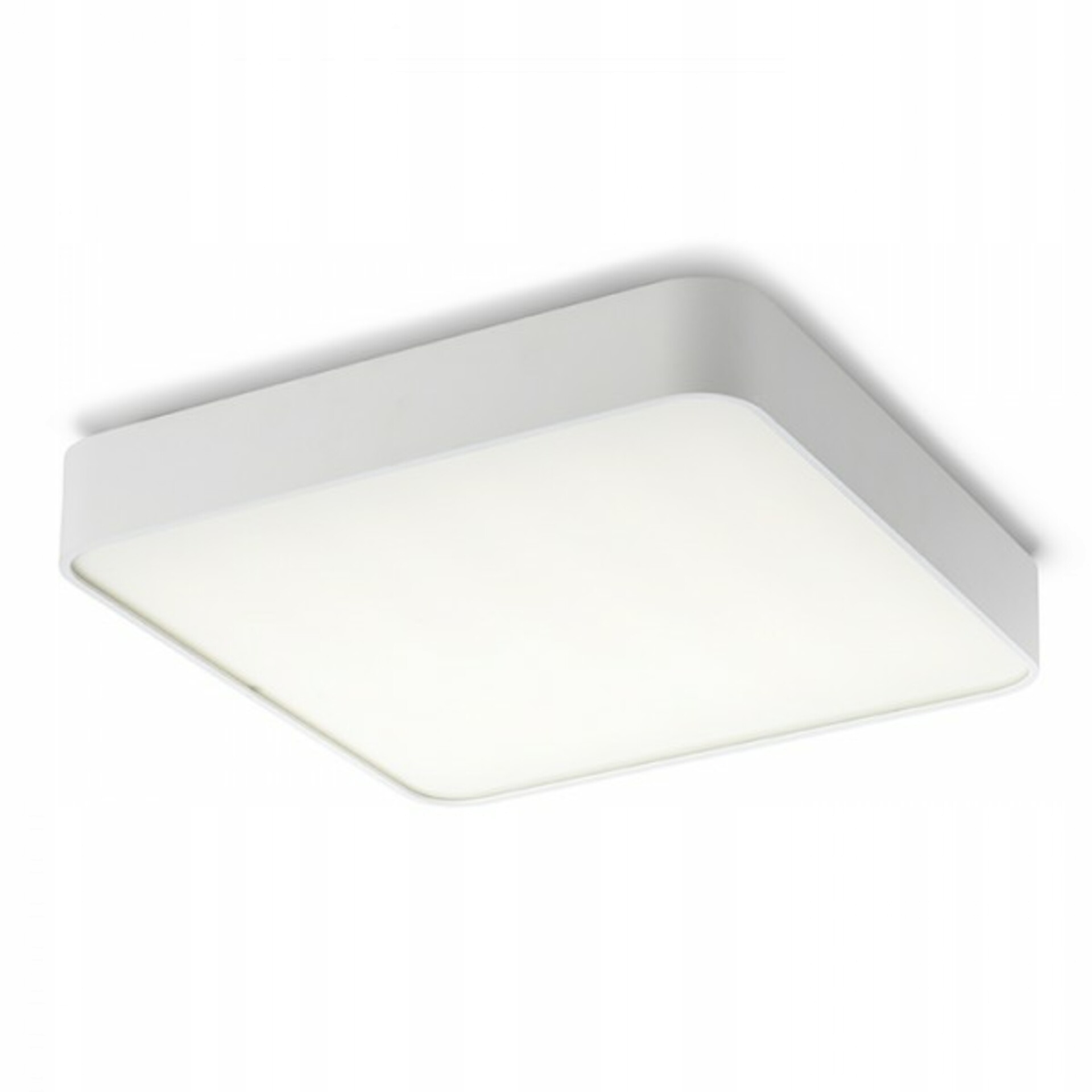 Rendl Mensa Sq 48 stropné Led svietidlo 56W 3000K biela 480x480mm