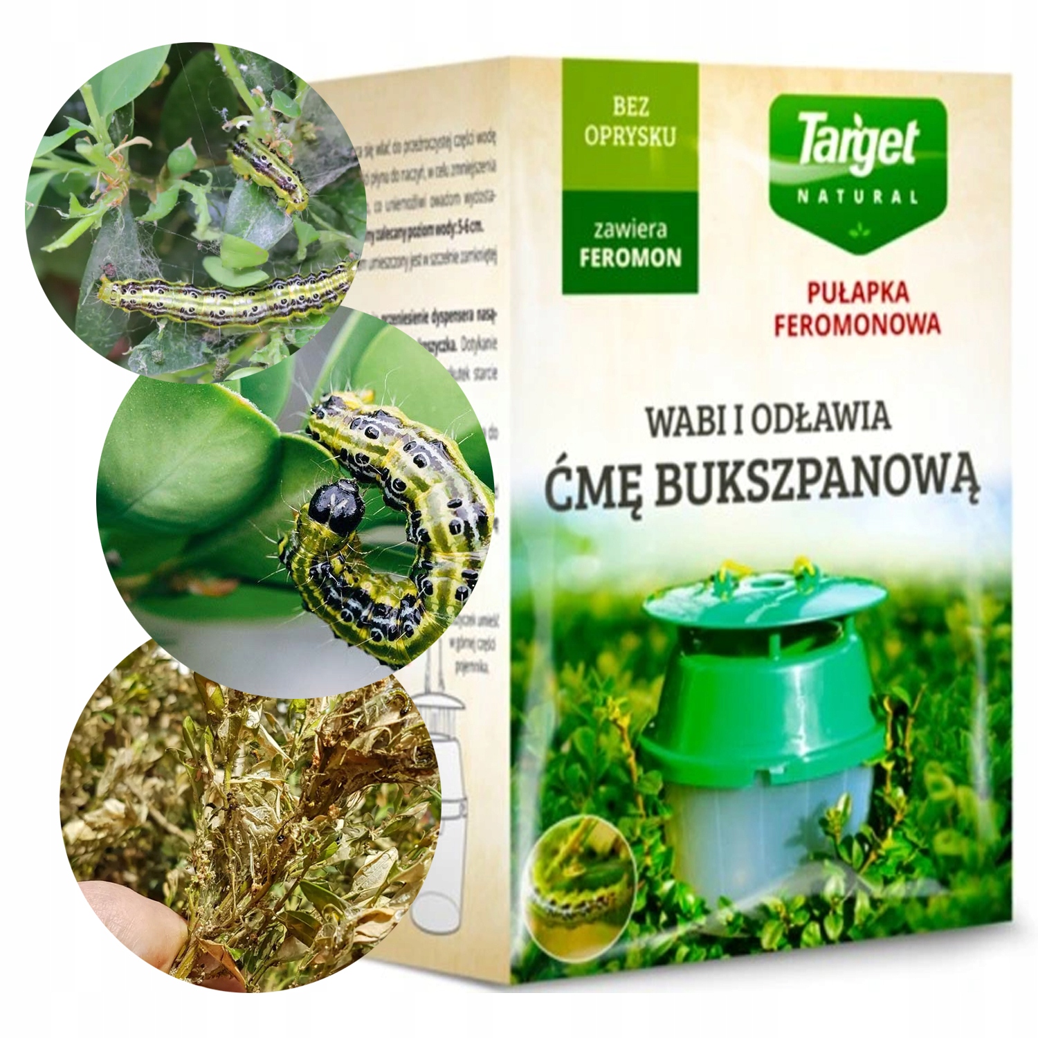 Target Pułapka Feromonowa Na Ćmę Bukszpanową Eko