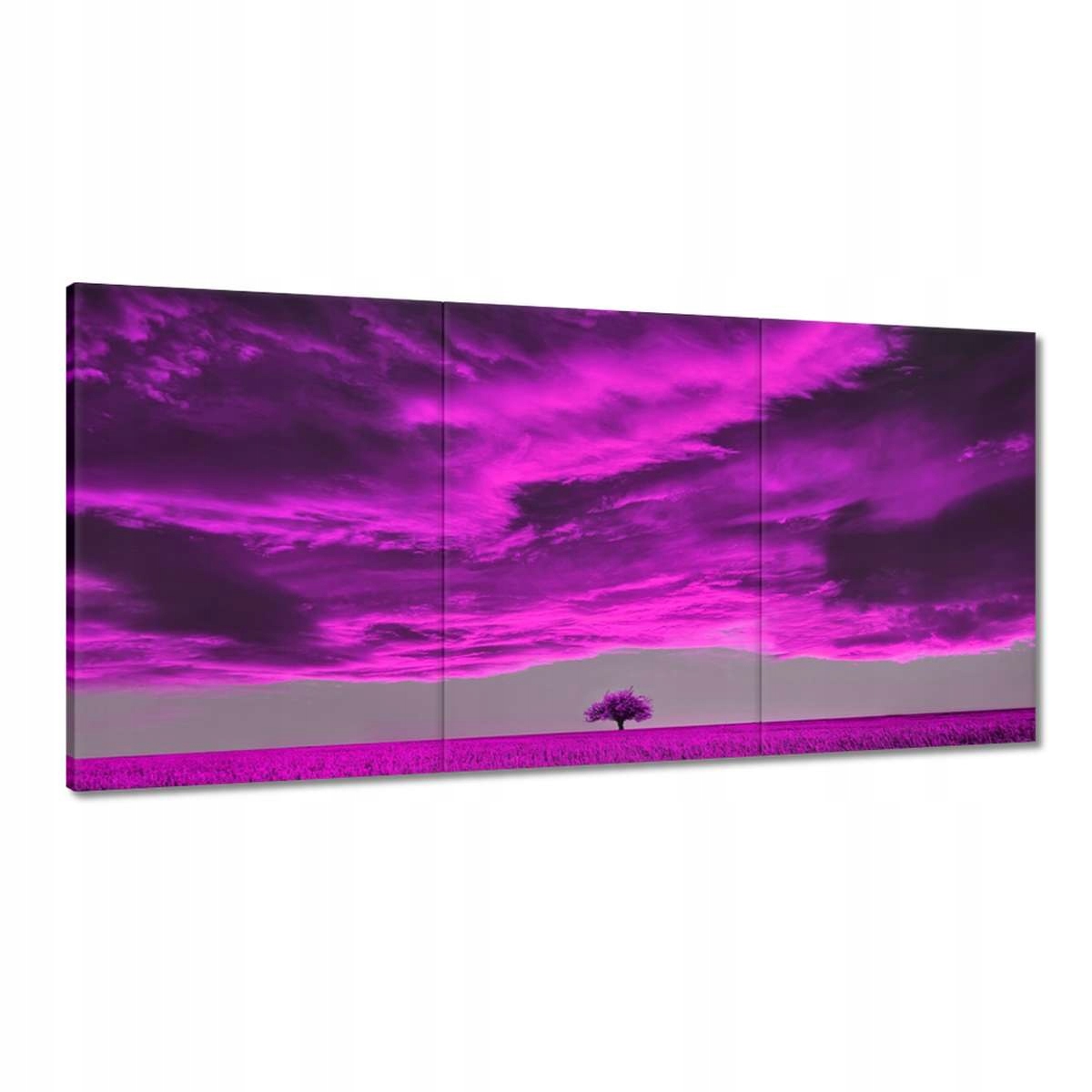 Obrazy 180x90 Fialová krajina