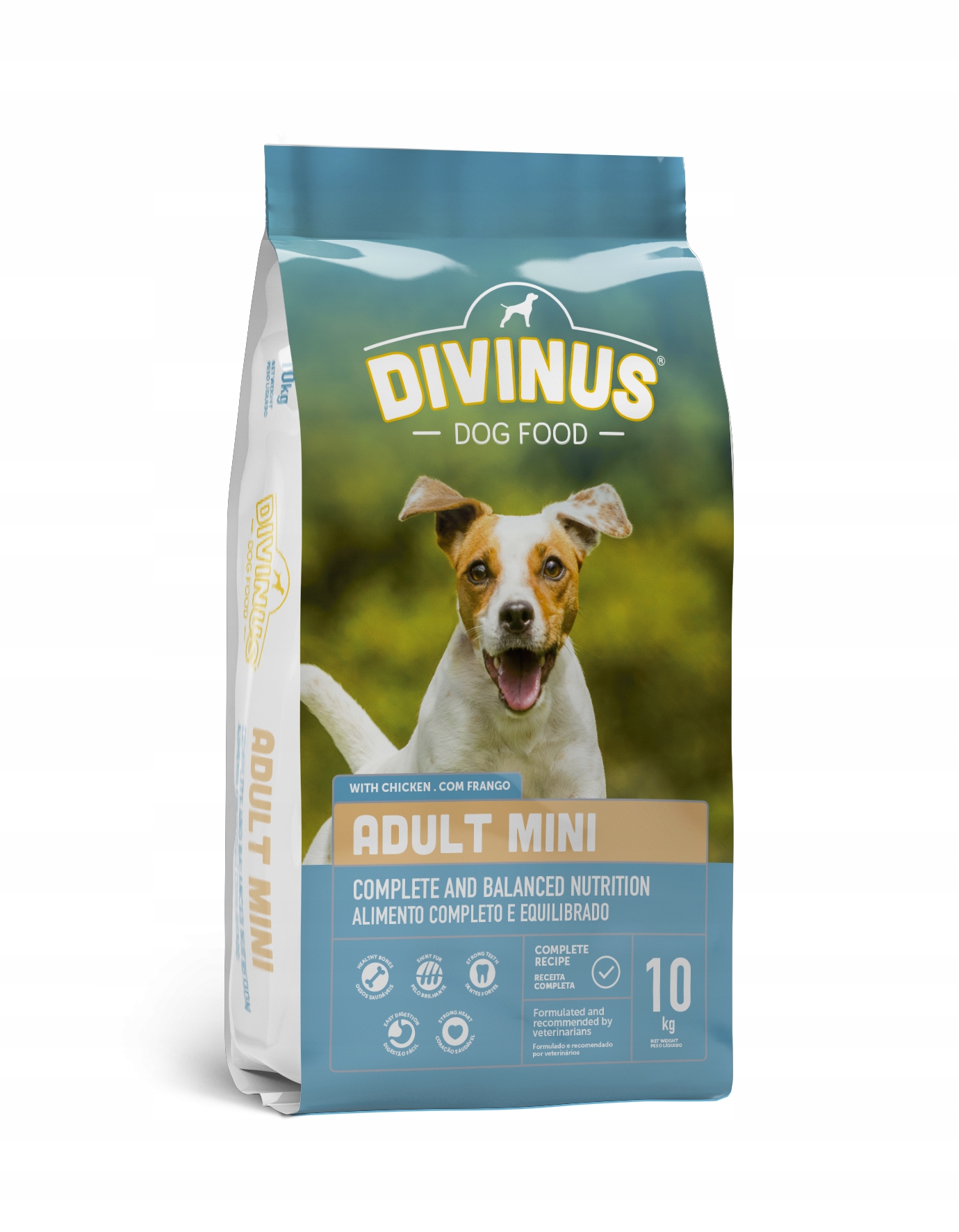 Divinus Adult mini pro malá plemena 10 kg