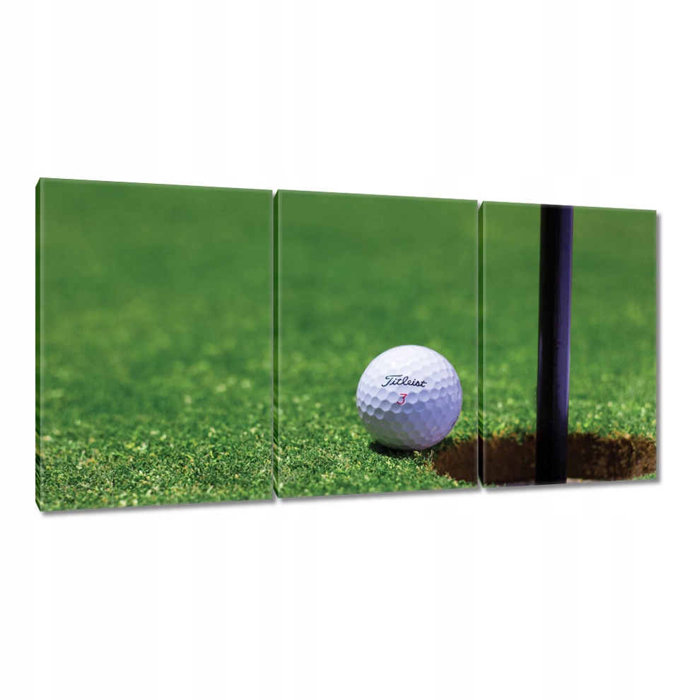 

Obrazy 120x60 Golf Gra w golfa Piłeczka