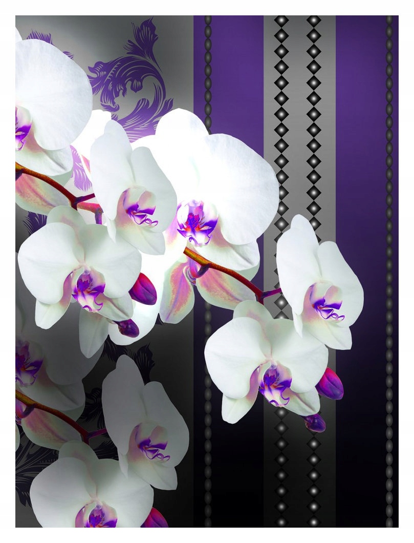 Fototapeta Orchideje Phalaenopsis květiny vinylová 184x254 lepidlo
