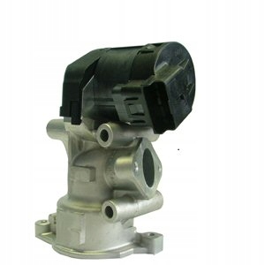 

Zawór Egr Delphi EG10395-12B1