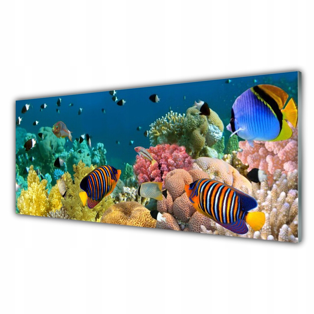

Fotoobraz nowoczesny 125x50 Rafa Koralowa Natura