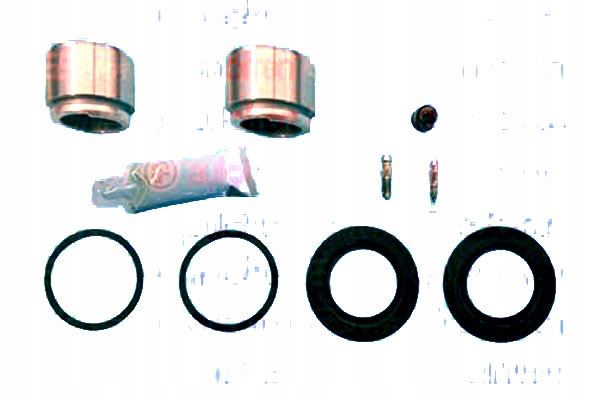 Sada Pro Opravu Svorky Autofren Seinsa 542229 90