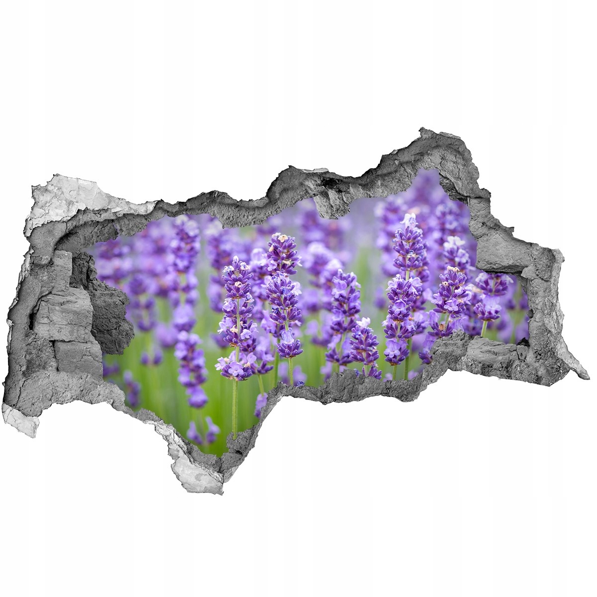 

Samoprzylepna Naklejka na ścianę Lawenda 115x88
