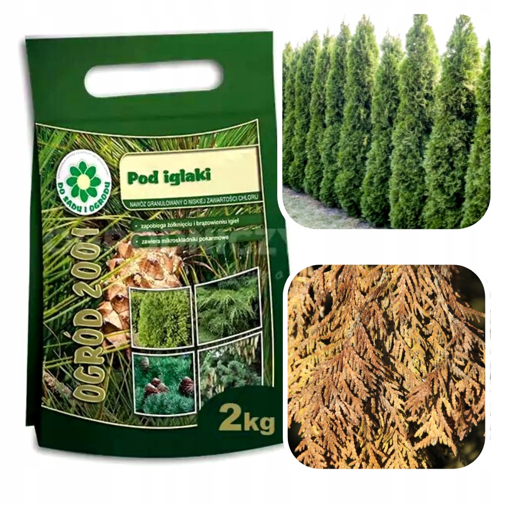 

Siarkopol Nawóz Do Iglaków Tui 2KG Na Brązowienie