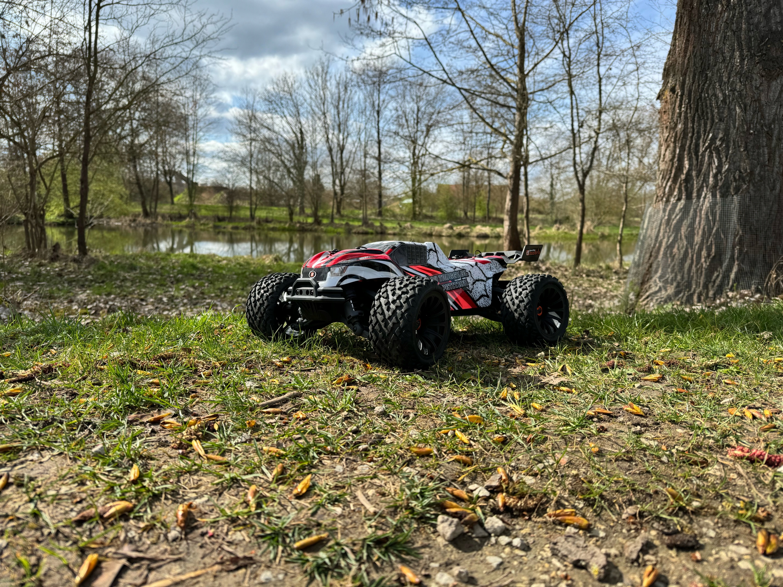 DF models RC car Z-10 Competition Truggy BL bezszczotkowy RTR 1:10 XL