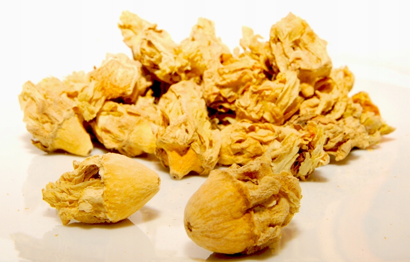 Levně Opuncie Květ celý Rafex 1kg