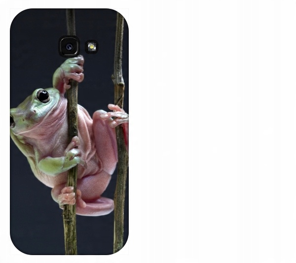 

Etui pokrowiec Samsung Galaxy A5 2017 Żaba smieszn