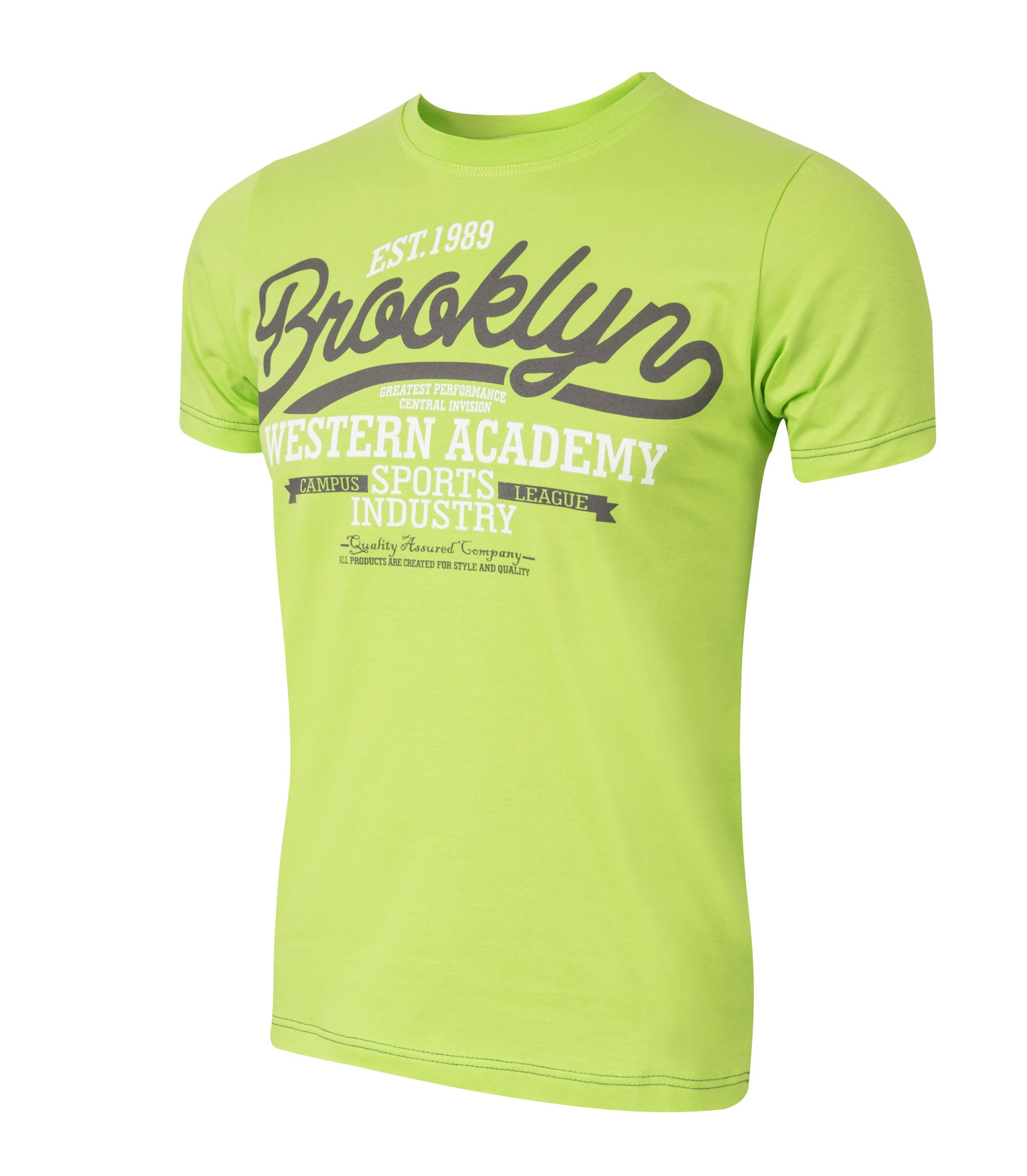 

T-shirt Koszulka Koszulki Męskie KM03 4XL seledyn