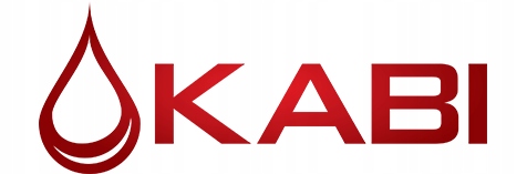 Kabina prysznicowa Largo Chrom typu walk-in 100x195