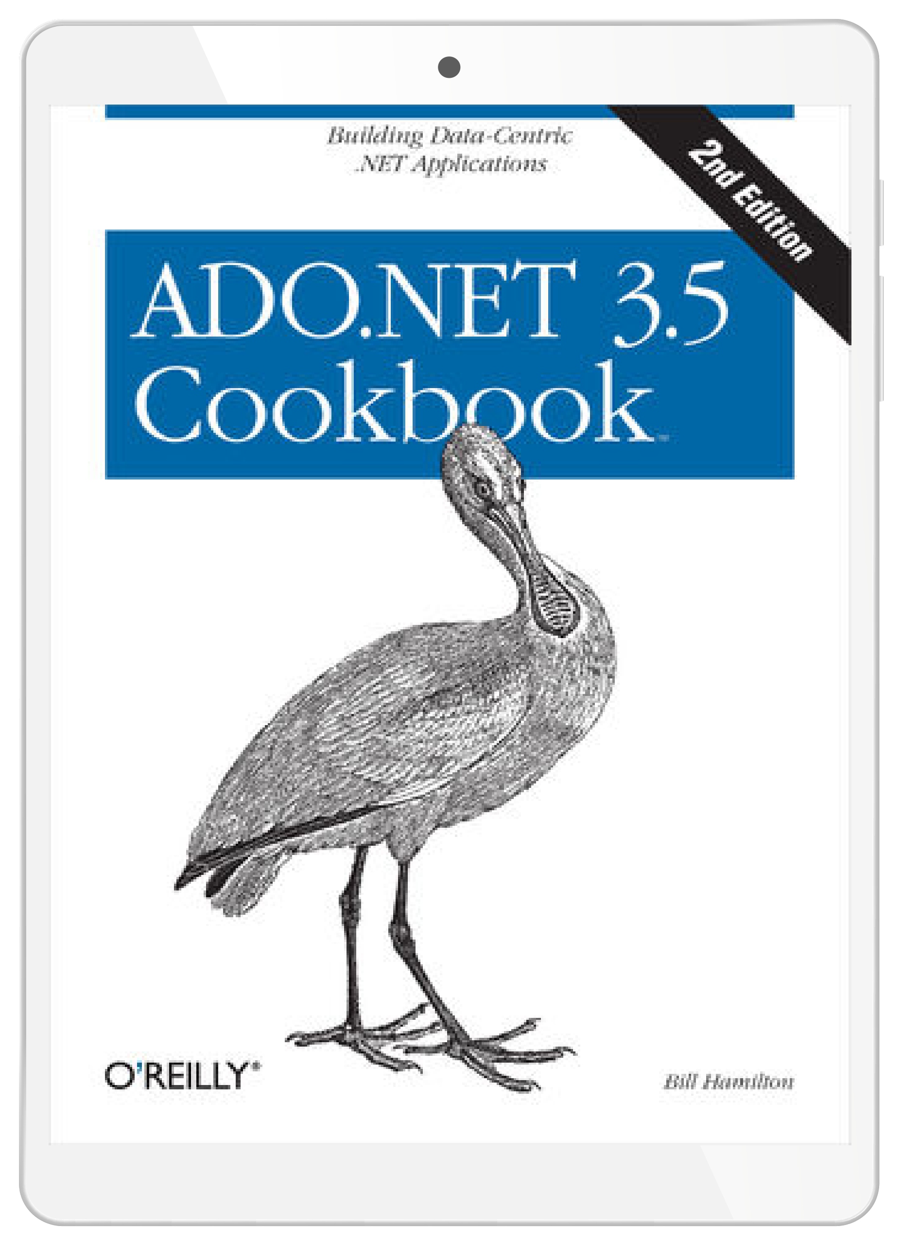ADO.NET 3.5 Cookbook. Building Data-Centric .NET