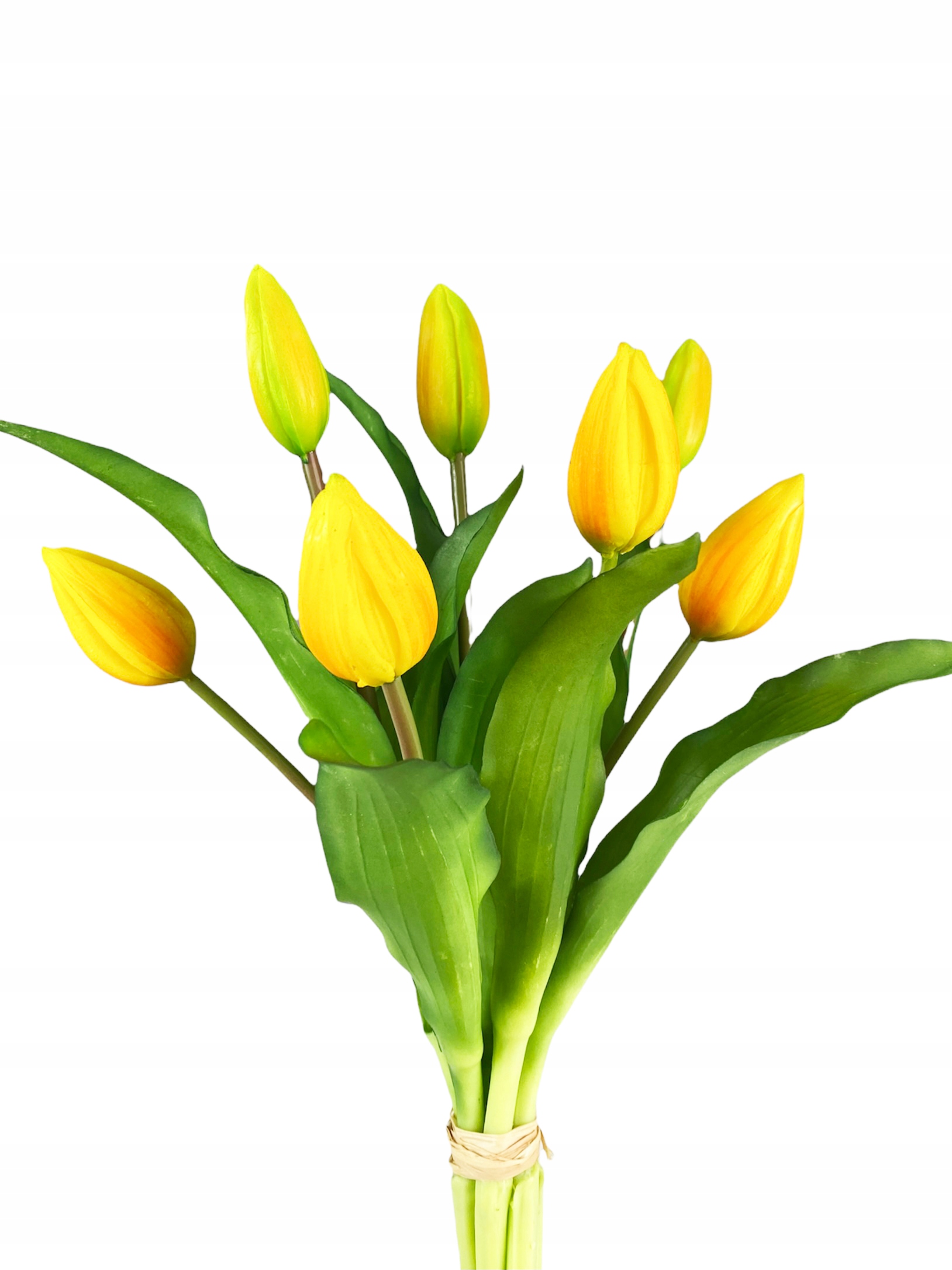 

Bukiet Tulipanów 7szt Tulipany Gumowane Żółty Poma