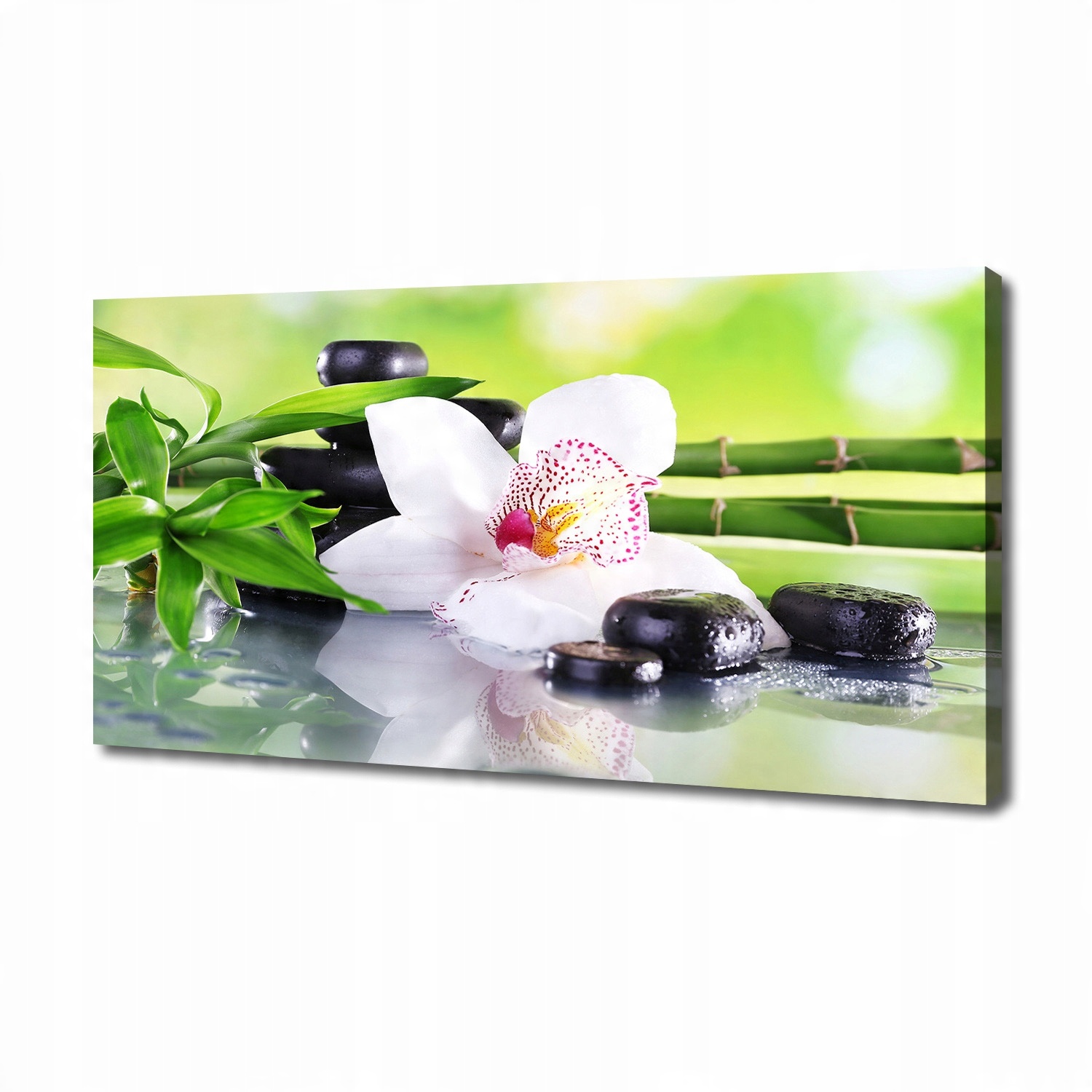 

Foto obraz canvas na ścianę Orchidea 140x70 cm
