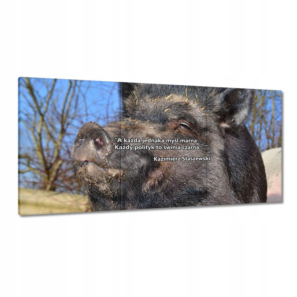 Obrazy 180x90 Kazik Citát Politici