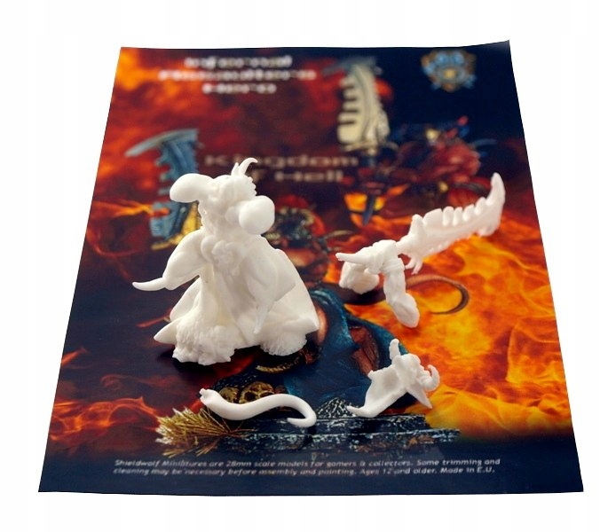 Infernal Assaulters Hero - 1 szt. Nazwa SHDKOH-301