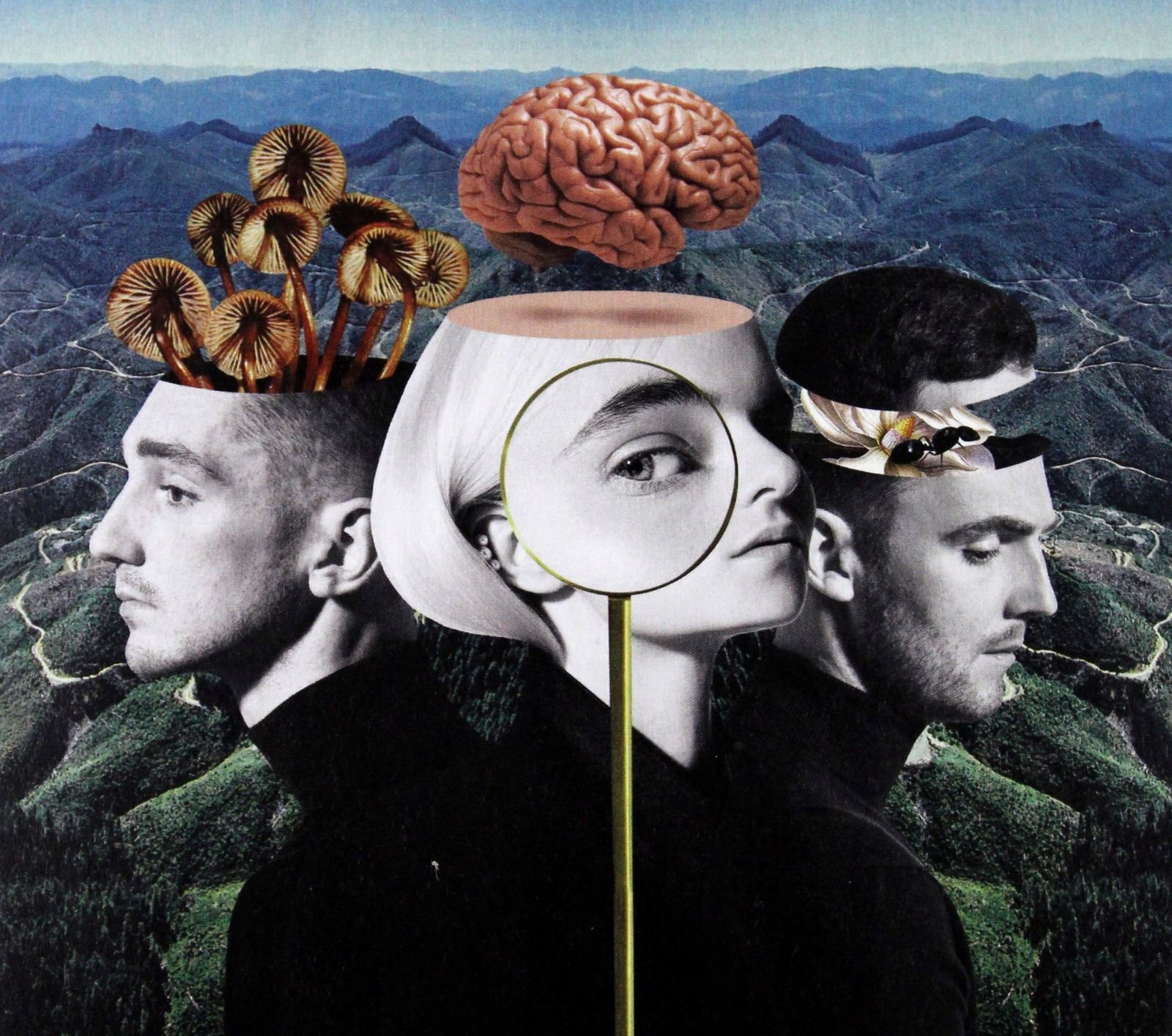 Clean Bandit: What Is Love? (deluxe) [CD]