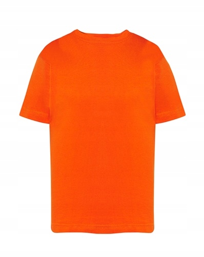 

Koszulka t-shirt dziecięcy 9-11 134-140