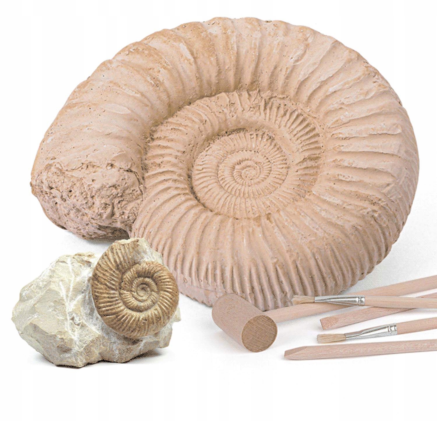 KOPALNIA WYKOPALISKA SKAMIELINY ARCHEOLOG ZESTAW Rodzaj mały archeolog