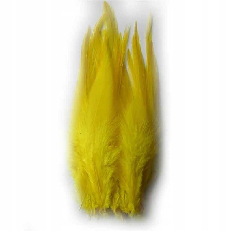 

Pióra siodłowe koguta żółte 50szt.