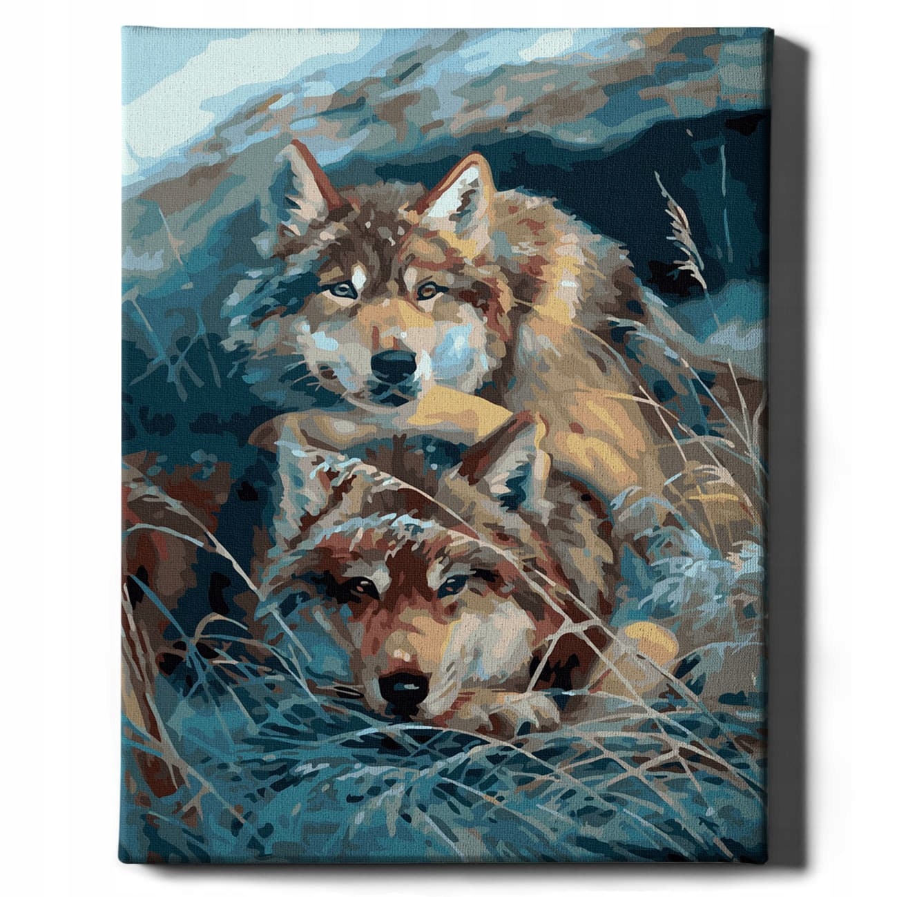 Malování Podle Čísel Zvířata Obrazy na malování S Rámem 40x50 cm Oh Ar