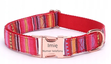 Levně Regulovatelný obojek s gravírováním pro psa Váš Nápis! Krásné vzory 4! Velikost L