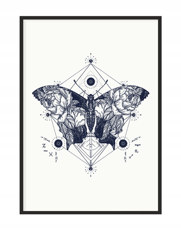

Obraz Plakat W Ramie 43x33 cm Motyl P1156