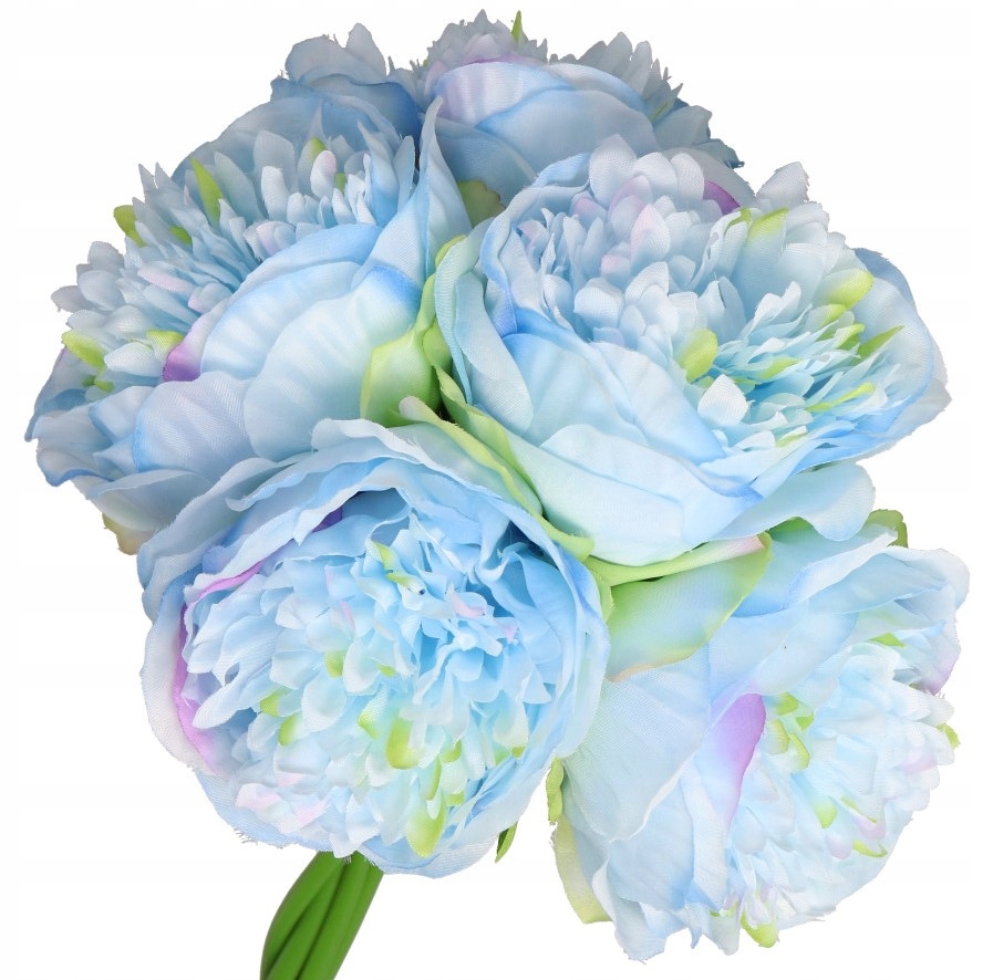 

Bukiet Piwonii Peonii Piwonia Peonia Gęsta 32CM