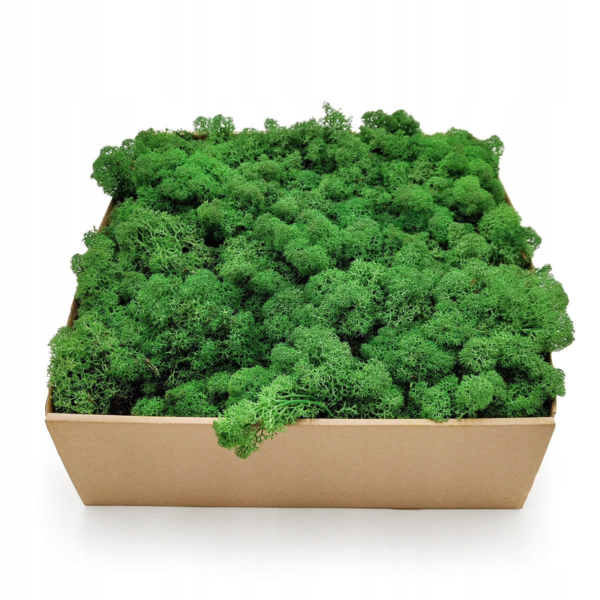 500g MECH CHROBOTEK reniferowy zielony NORWESKI Marka inna