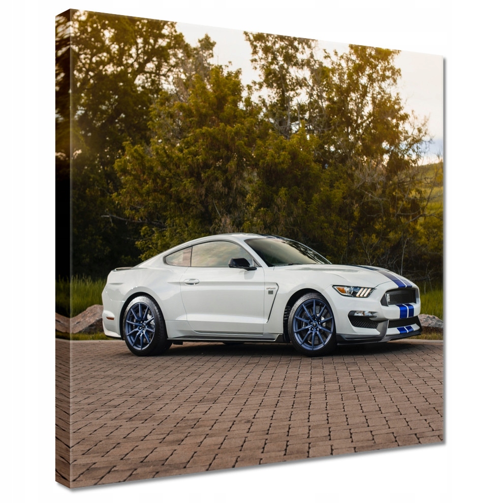 

Obrazy 30x30 Ford Mustang Samochód Usa