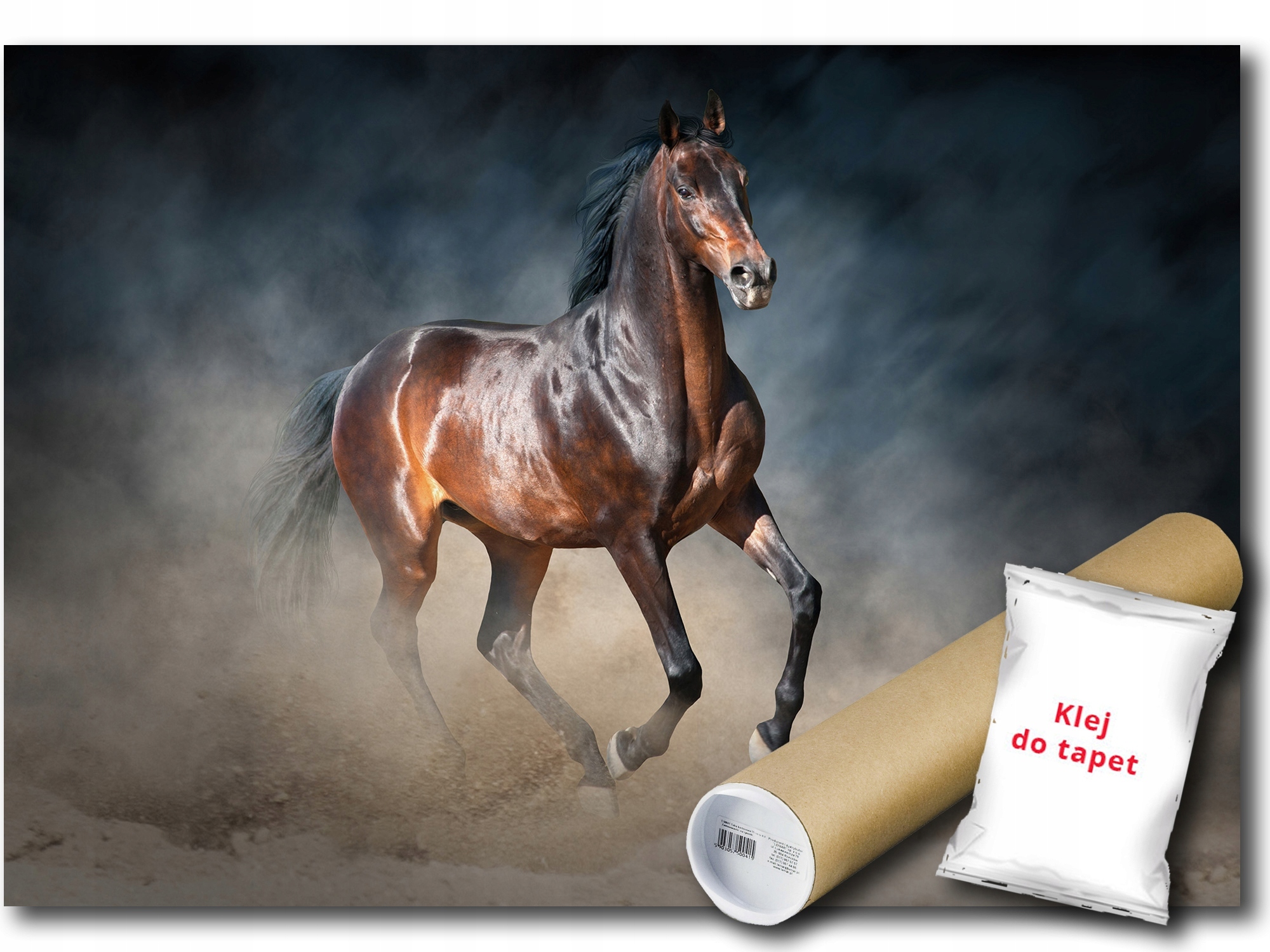 Fototapeta Vinylová Zvieratá Príroda Kôň Rumak Galop 254x184