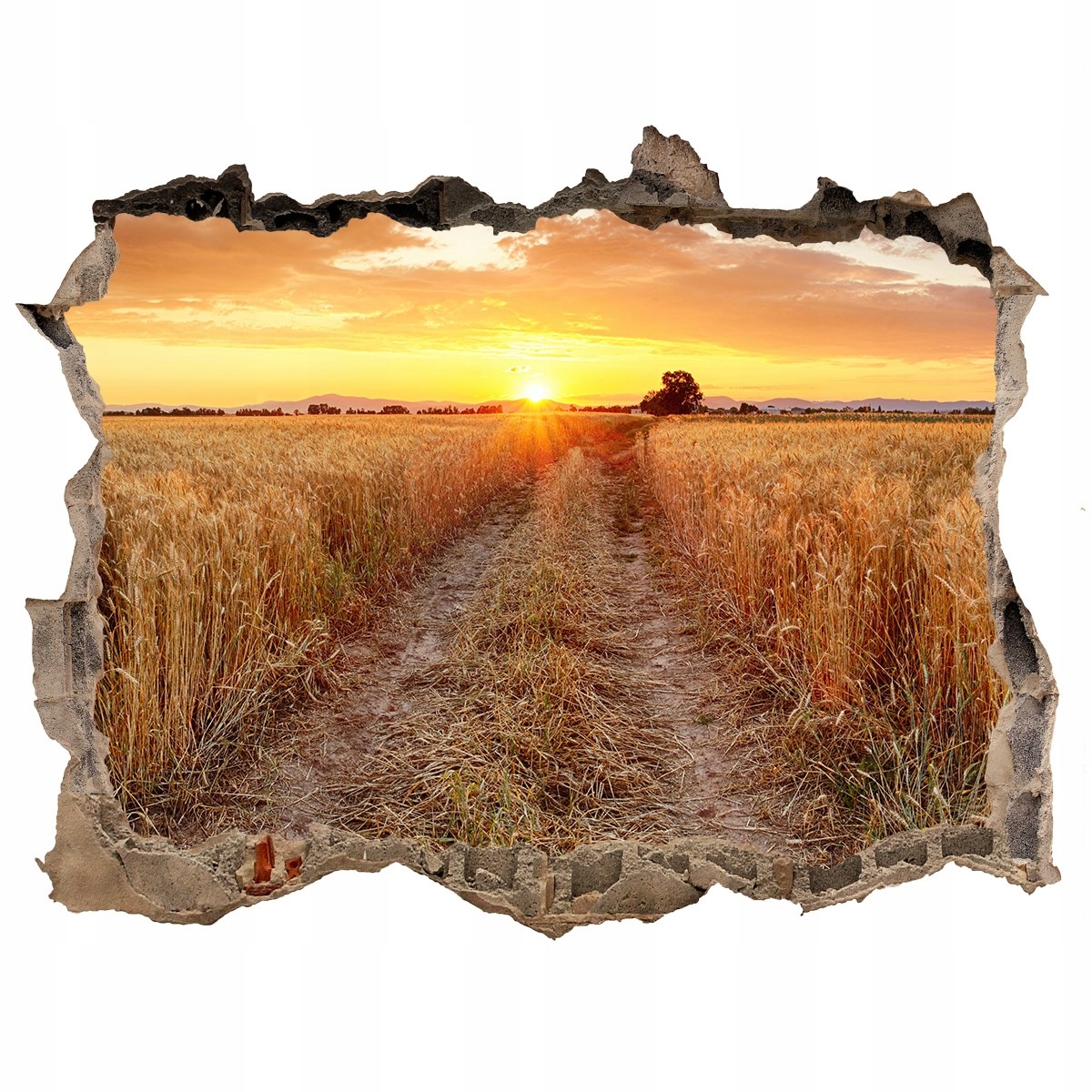 

Naklejka fototapeta 3D widok Pole pszenicy 120x81