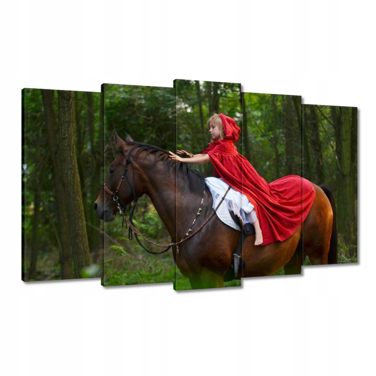 Obrazy 100x60 Kůň Koně Jezdectví