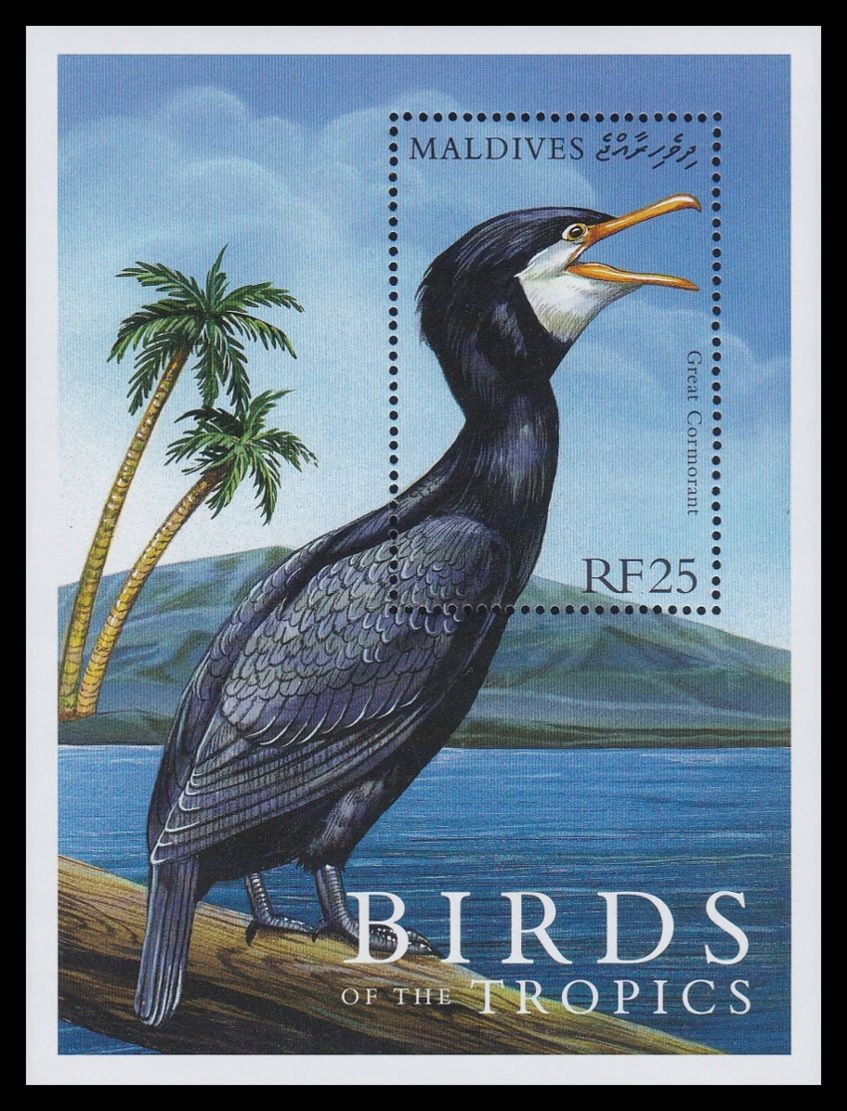 MALDIVES - PTAKI - 2000 r. - MNH(**)