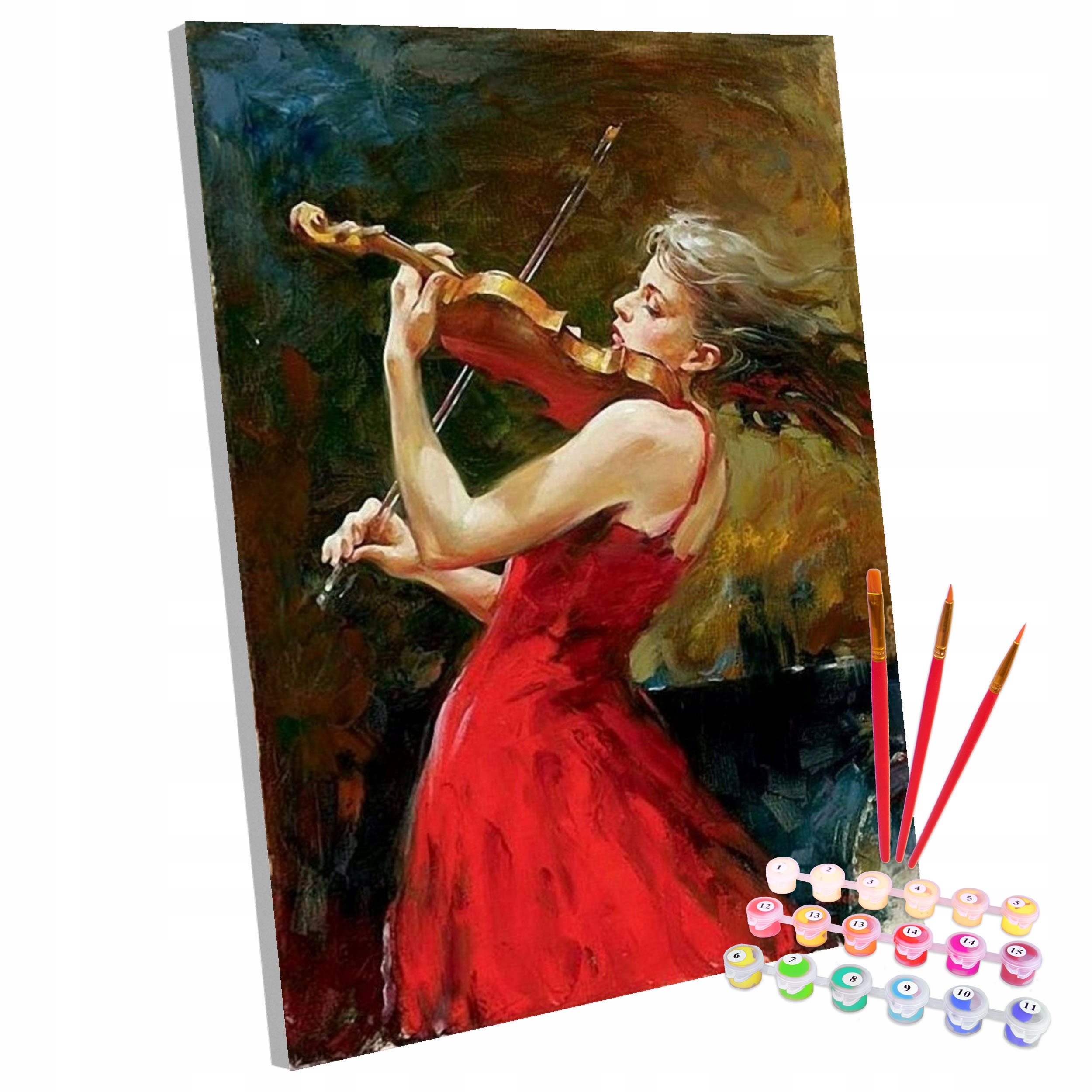 Sada Obraz Pro Malování Malování Podle Čísel Na Rám Housle 40x50