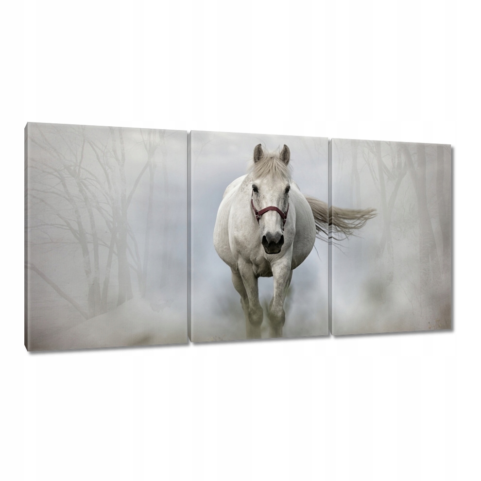 

Obraz 120x60 Biały koń w galopie