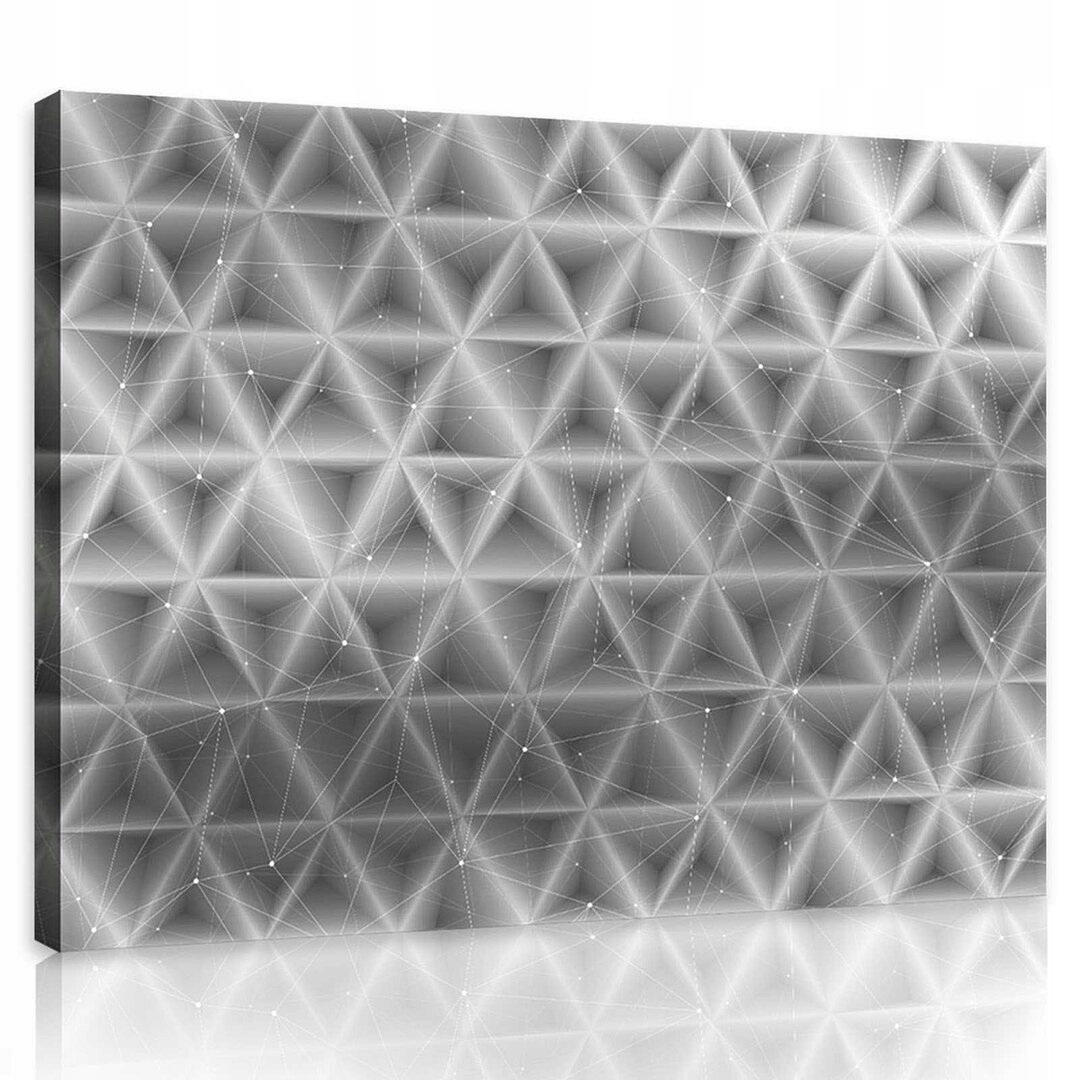 Obraz 80x60 Trojúhelníky abstrakce geometrie síťovina struktura mono chrom