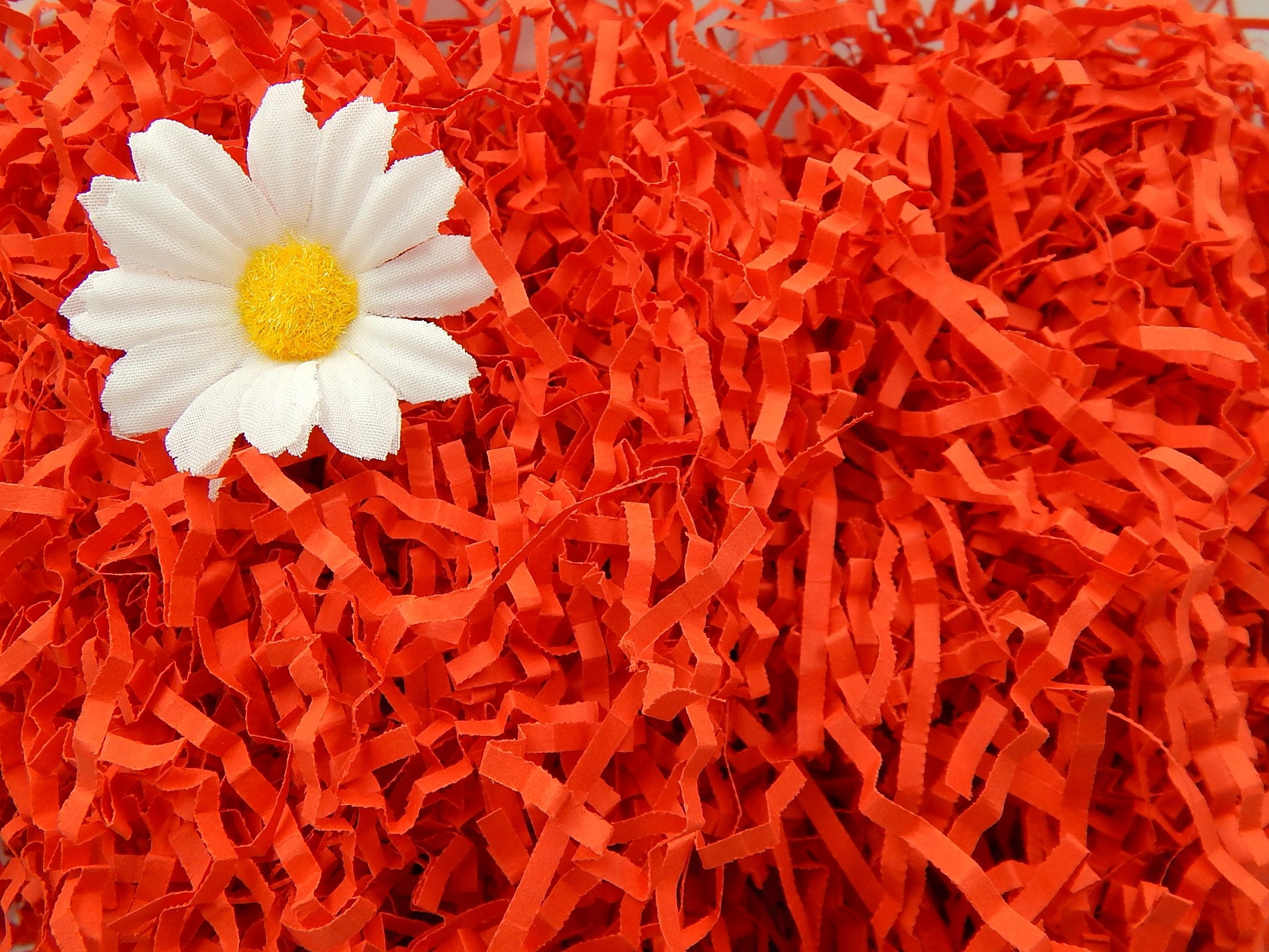 

Wypełniacz Naturalny Dekoracyjny 100g C. Czerwony