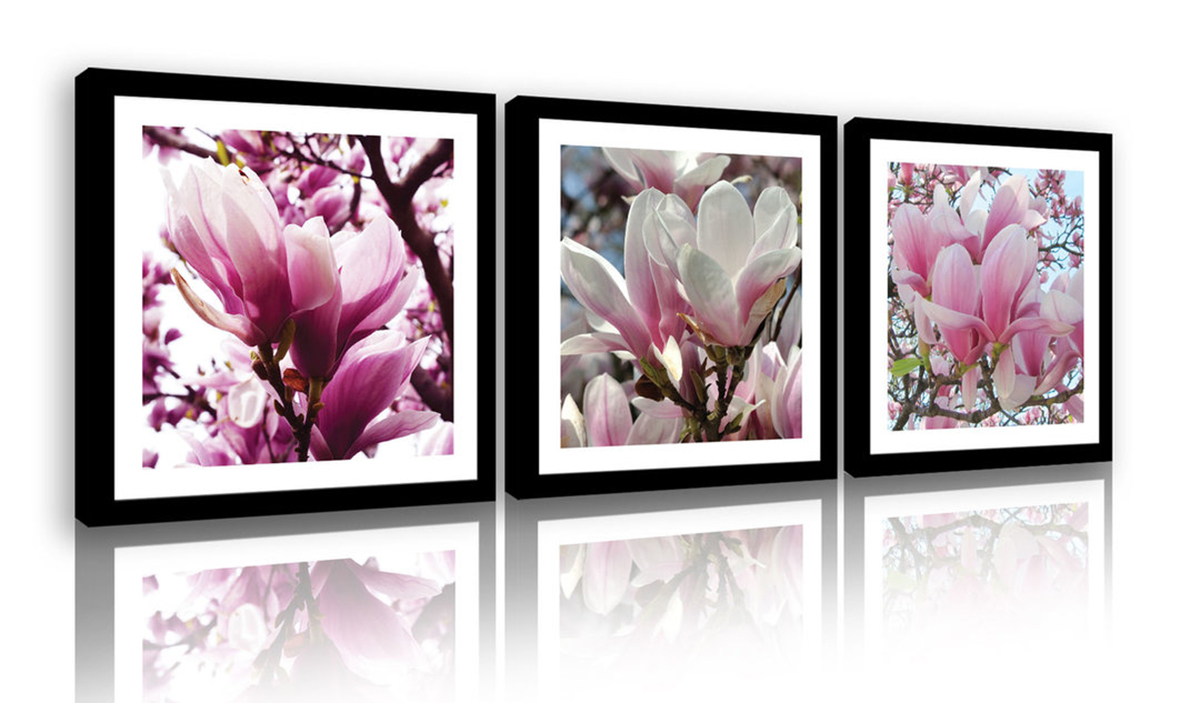 Obraz Na Plátně Canvas 75x25 Květiny Magnolie