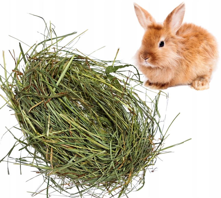 Levně Ekologické seno letošní seno pro králíky 8 kg dobré pokosové