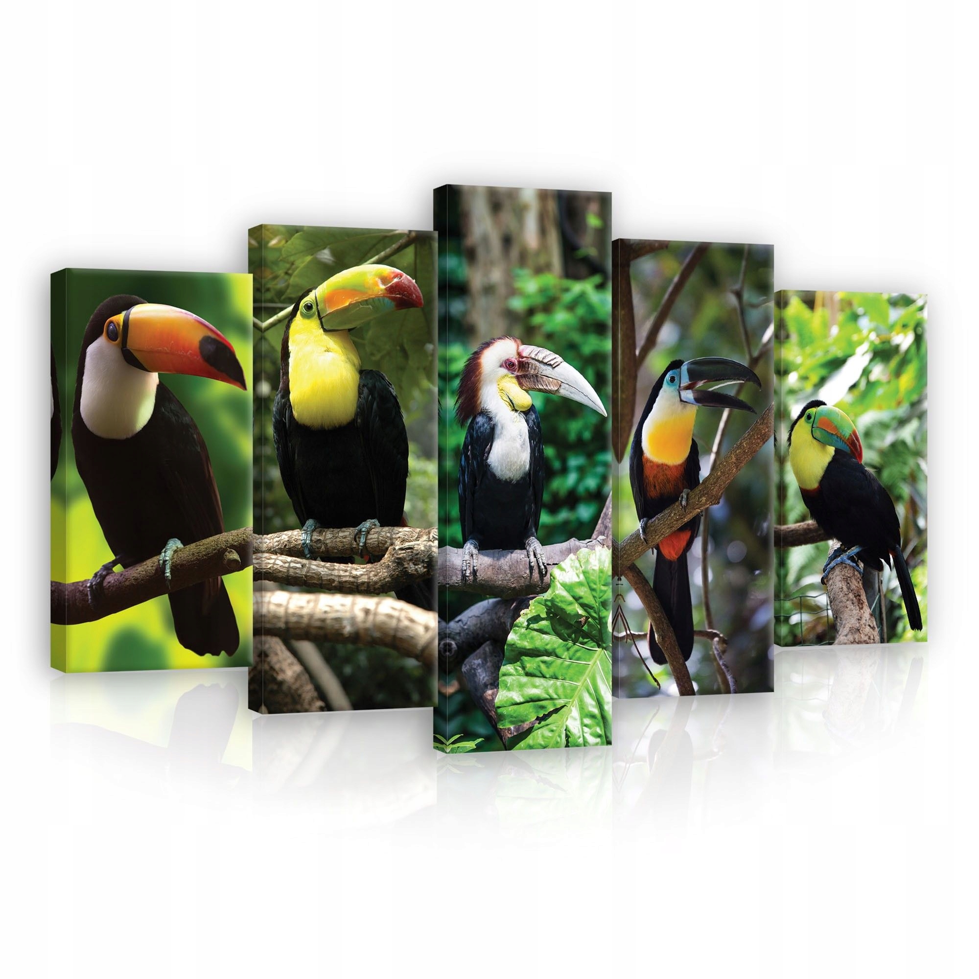 Obraz 100x60 Tukany tropy exotika ptáci les džungle příroda barvy dekor
