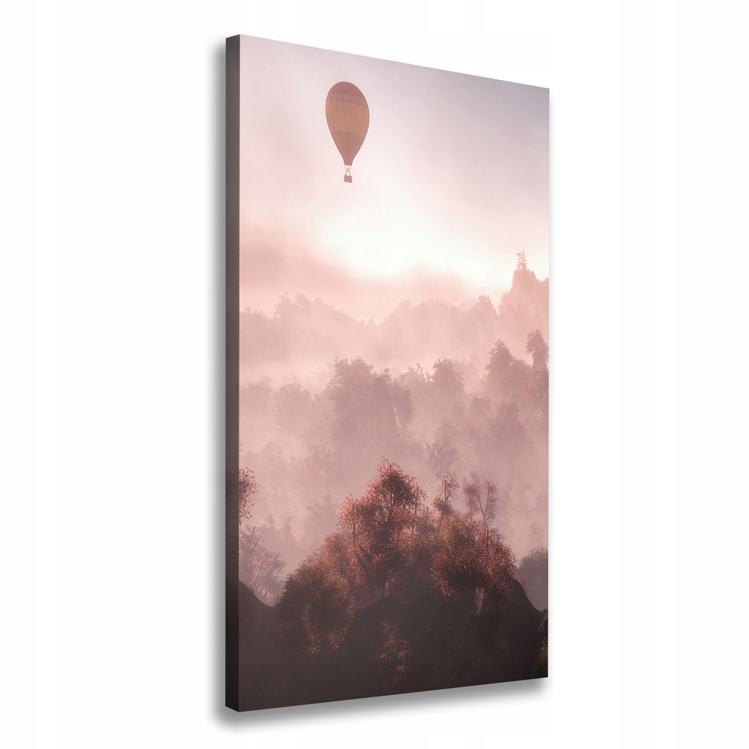 

Foto obraz na płótnie Latający balon las 60x120 cm