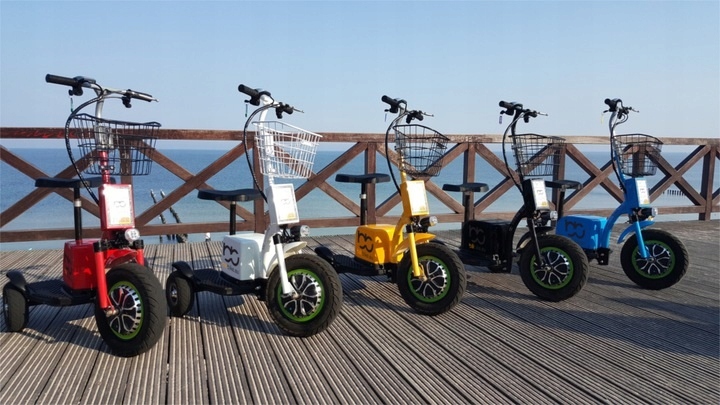 STEROWNIK DO SKUTERA TROJKOLOWEGO 48V Producent czesci Inny