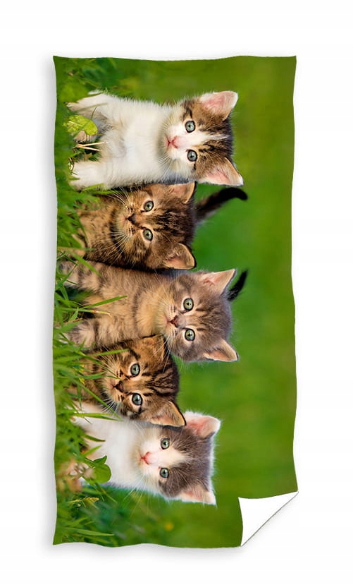 

Ręcznik Kąpielowy 70x140 Kotki