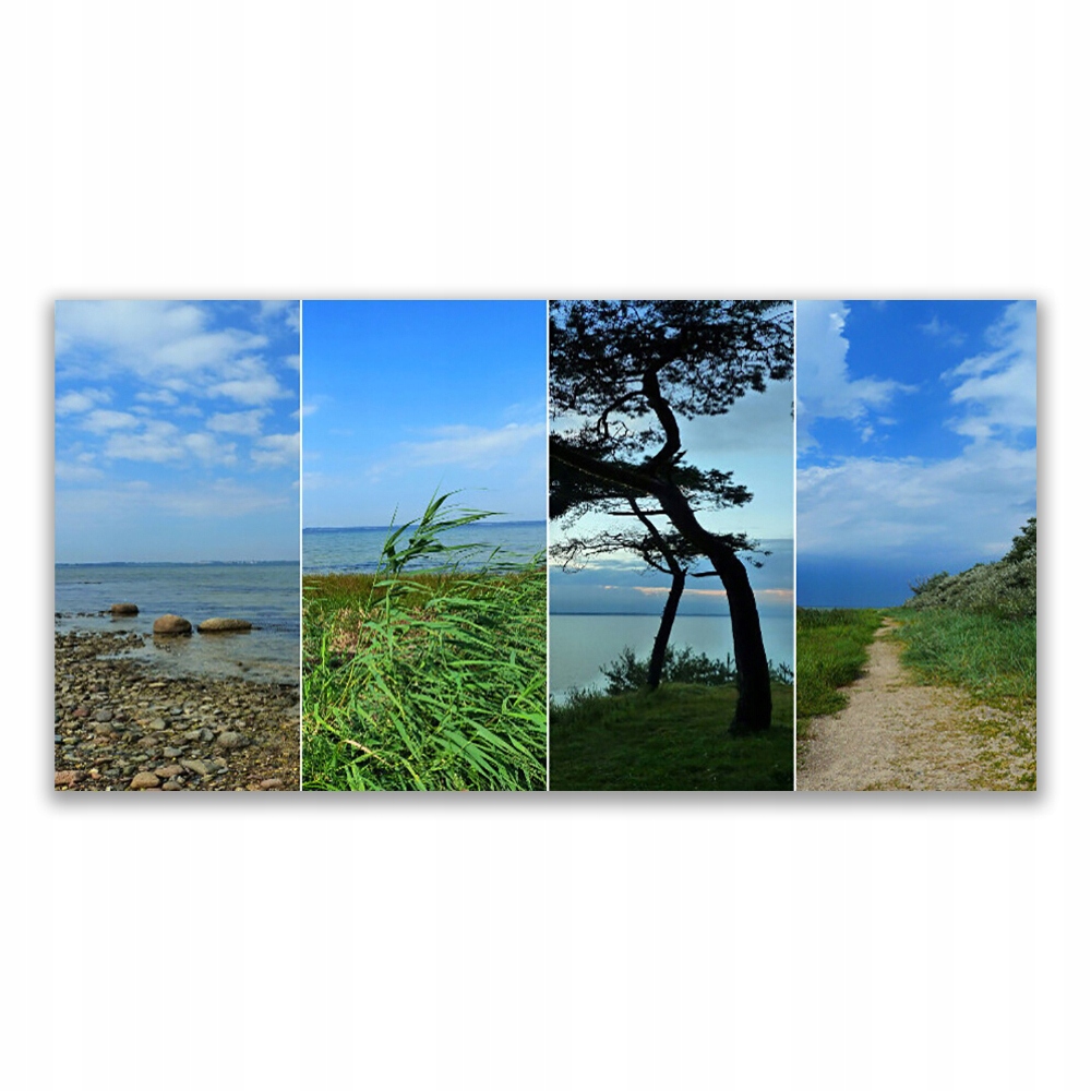 

Fotoobraz na prezent 140x70 Plaża Drzewo Krajobraz