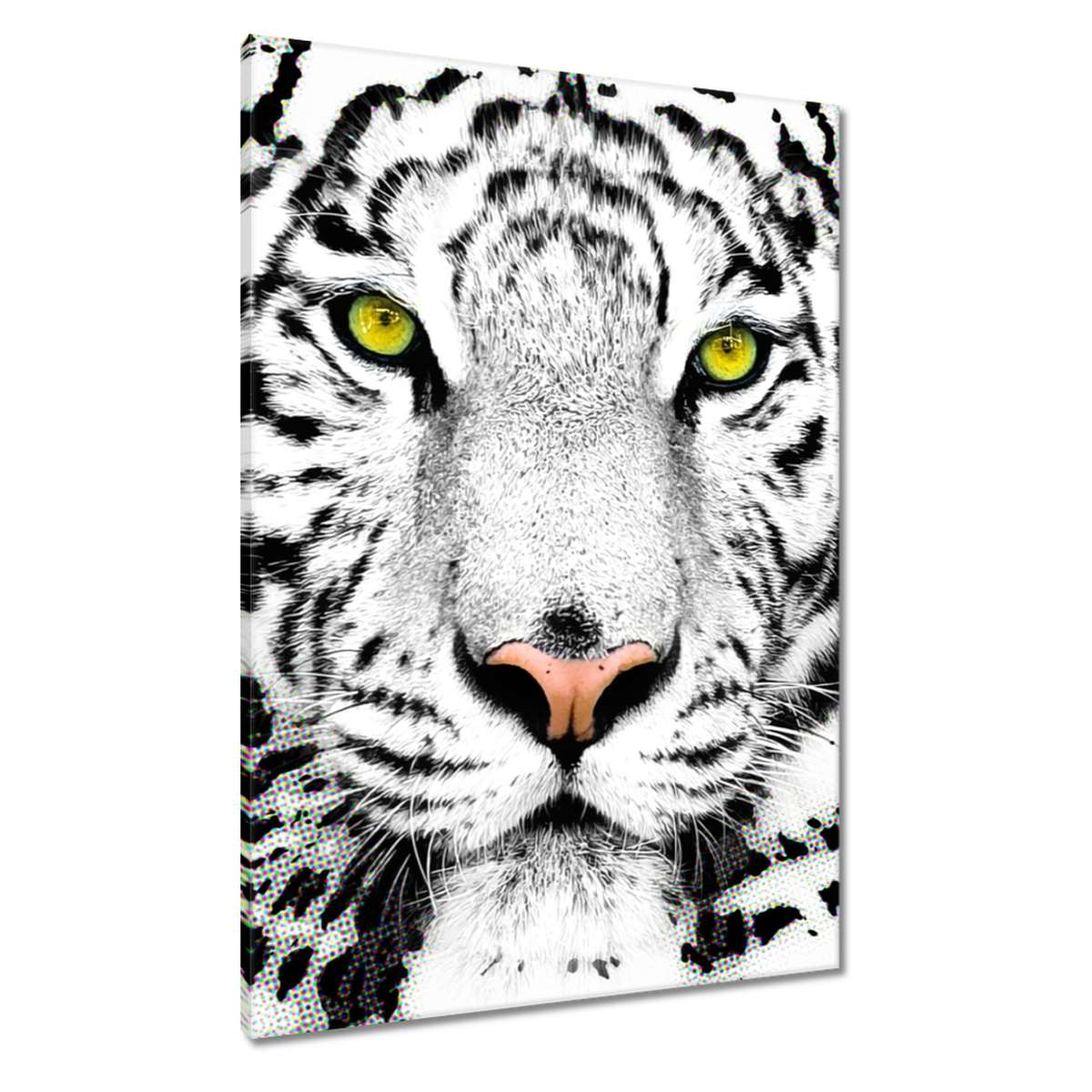 Obrazy 70x100 Hlava tygra