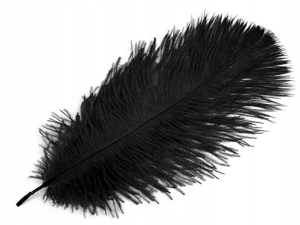 Strusie pióra długość ok. 20 - 25 cm 2 czarny