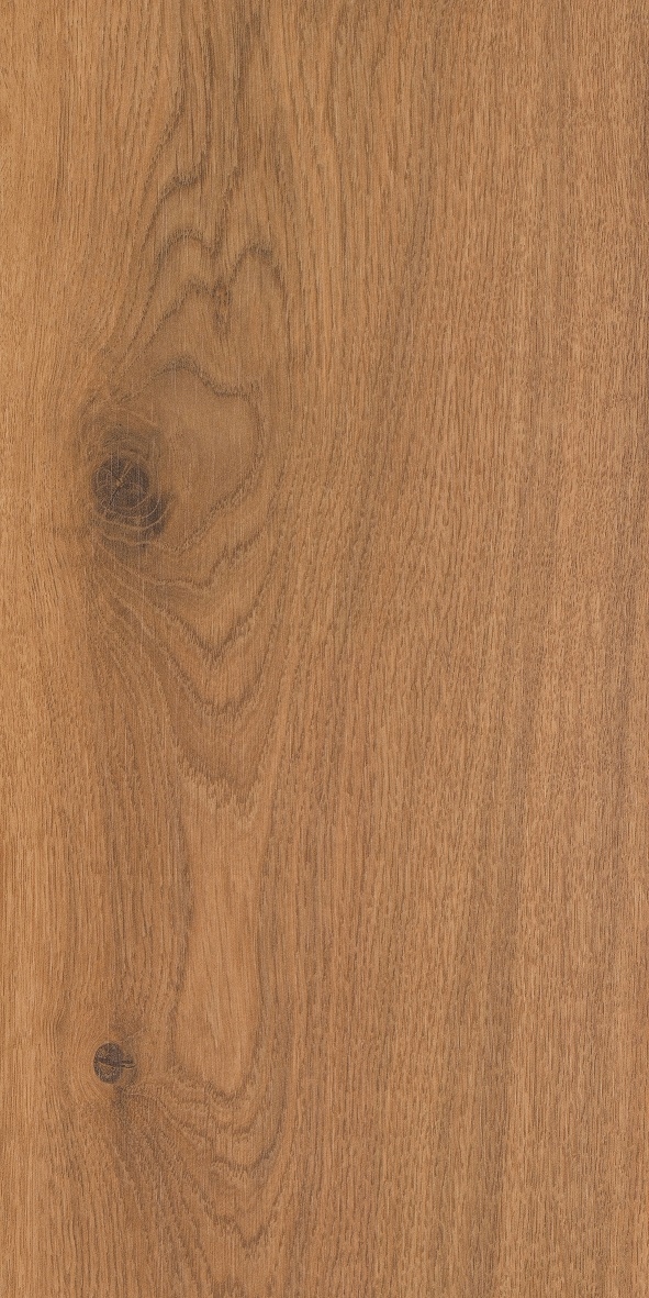 Panele podłogowe 8mm Ontario AC5 3D ALSAFLOOR Rodzaj panele laminowane