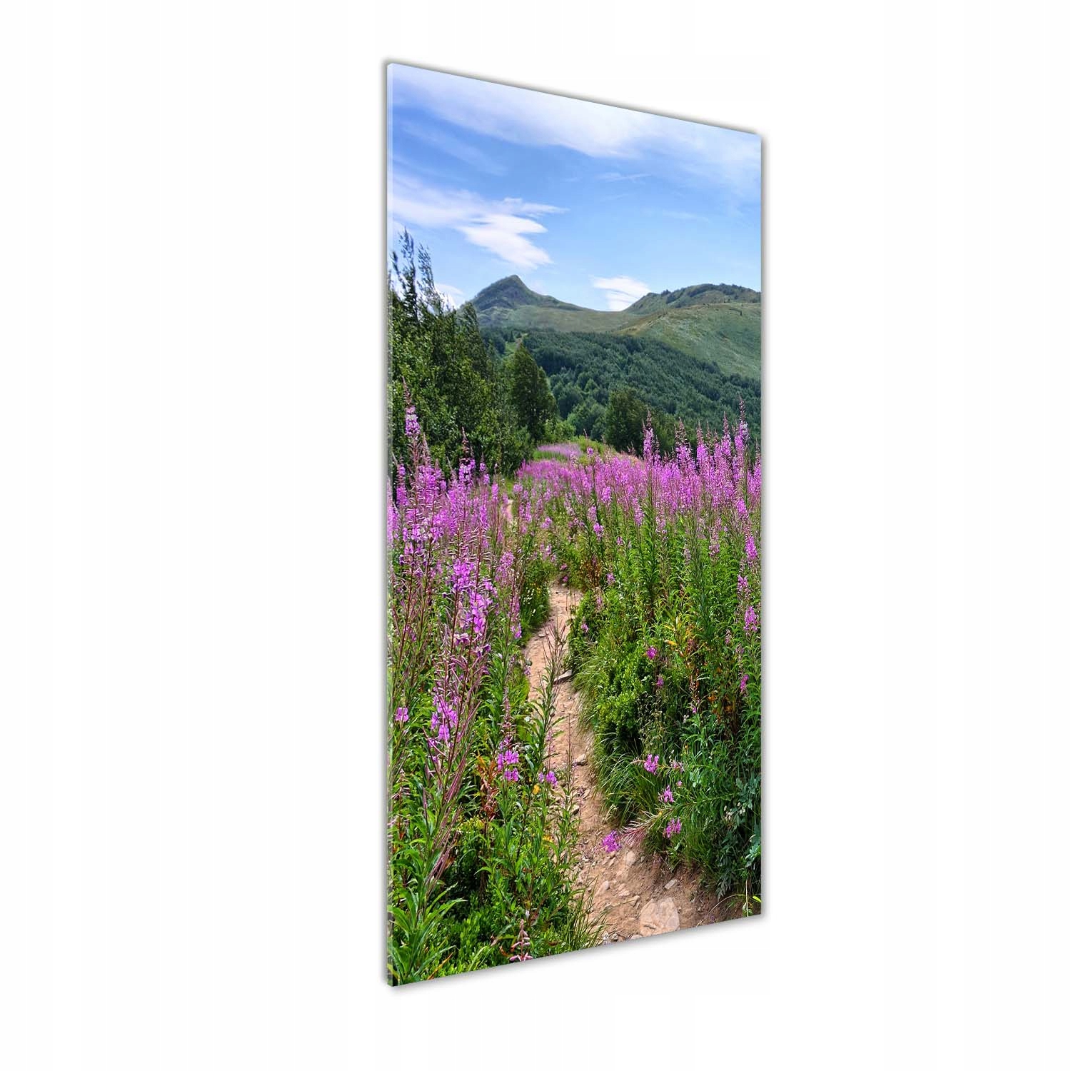 

Foto obraz akrylowy na ścianę Bieszczady 50x125cm